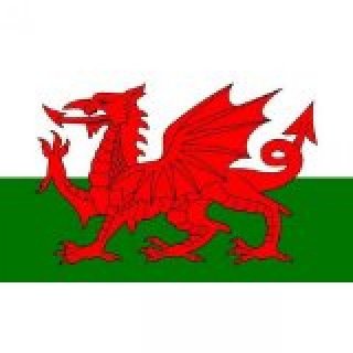 Wales Fahne 150 x 90cm
